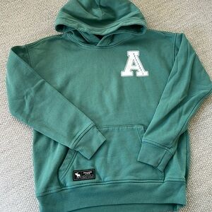 Sage green graphic hoodie
